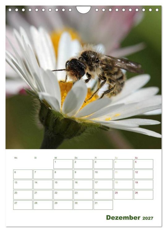 Produktbild: Bienen-Terminplaner 2027 (Wandkalender 2027 DIN A4 hoch), CALVENDO Monatskalender