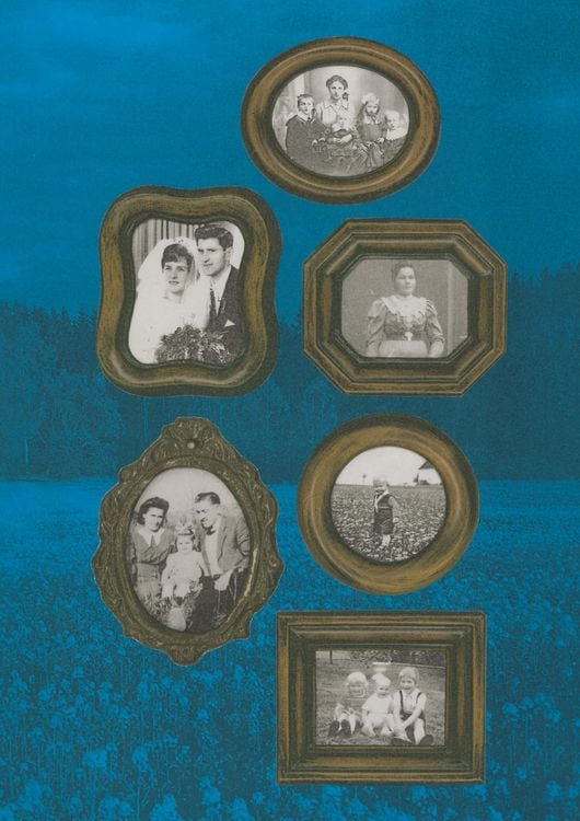 Produktbild: Harold Hardscrabble
