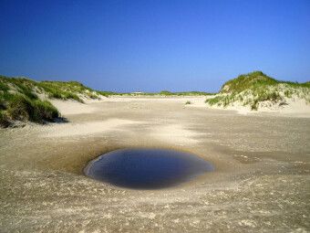 Produktbild: CALVENDO Puzzle Norderney - Jenseits der Oase | 1000 Teile Lege-Gr&ouml;&szlig;e 64x48cm Foto-Puzzle f&uuml;r gl&uuml;ckliche Stunden
