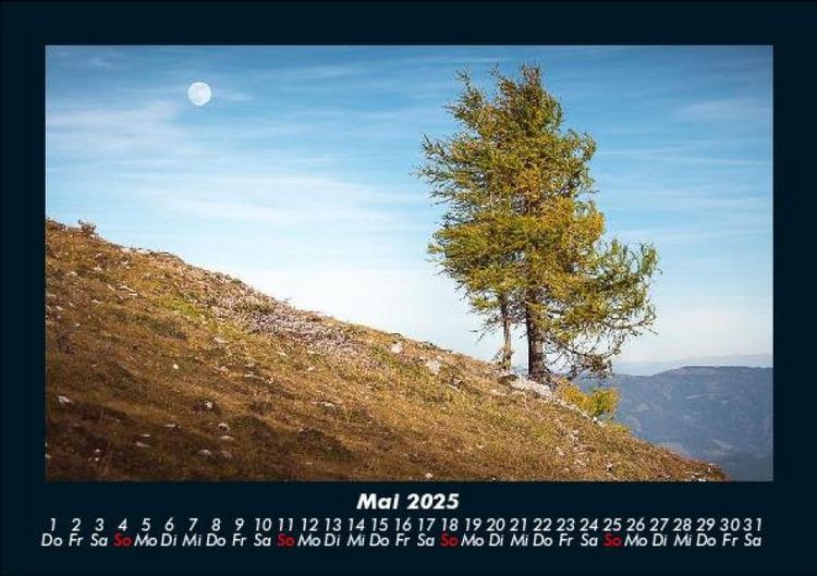Produktbild: B&auml;ume 2025 Fotokalender DIN A5