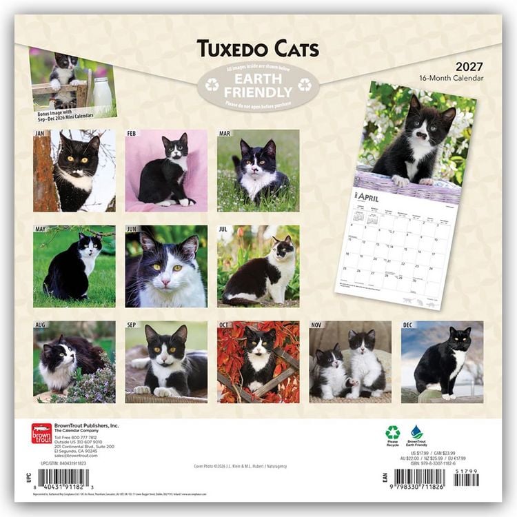 Produktbild: Tuxedo Cats &ndash; Tuxedo Katzen 2027 &ndash; 16-Monatskalender