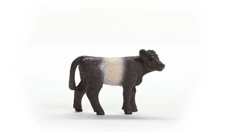 Produktbild: schleich&reg; Farm World Galloway Kalb 5,7cm