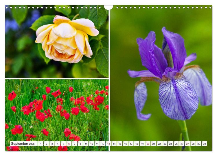 Produktbild: Chiemgau-Highlights (Wandkalender 2026 DIN A3 quer), CALVENDO Monatskalender