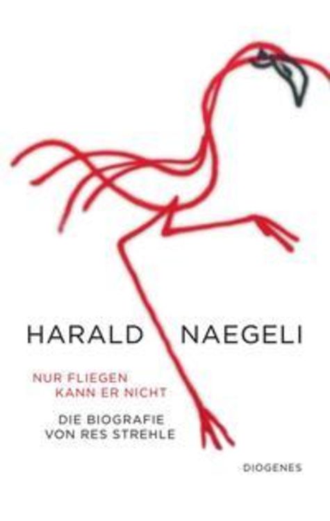 Produktbild: Nur fliegen kann er nicht
