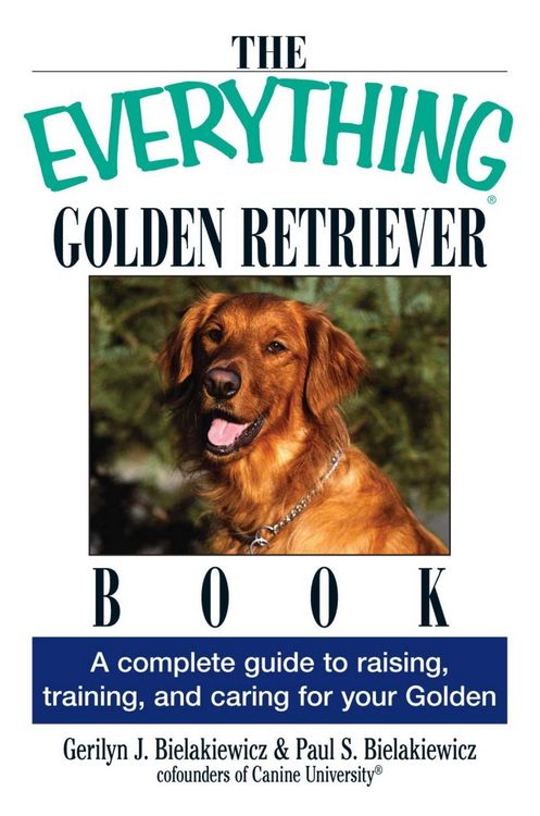 Produktbild: The Everything Golden Retriever Book