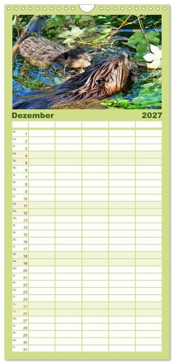 Produktbild: Familienplaner 2027 - Das Leben der Biber mit 5 Spalten (Wandkalender, 21 x 45 cm) CALVENDO
