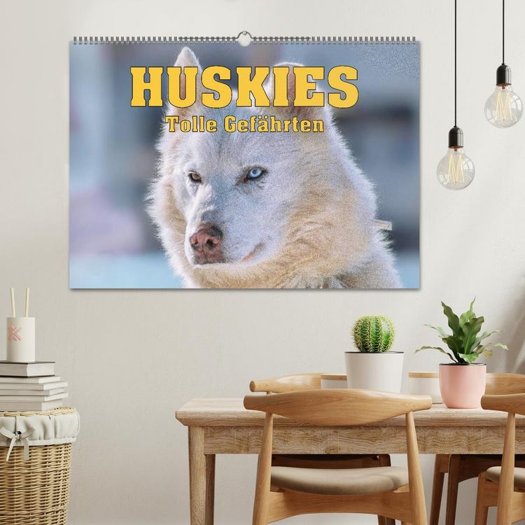 Produktbild: Huskies - Tolle Gef&auml;hrten (Wandkalender 2026 DIN A2 quer), CALVENDO Monatskalender
