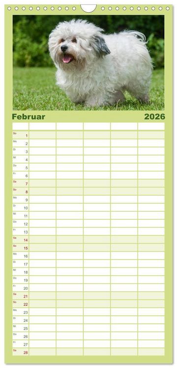 Produktbild: Familienplaner 2026 - Havaneser - Herz auf 4 Pfoten mit 5 Spalten (Wandkalender, 21 x 45 cm) CALVENDO