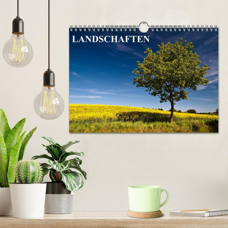 Produktbild: Landschaften (Wandkalender 2026 DIN A4 quer), CALVENDO Monatskalender