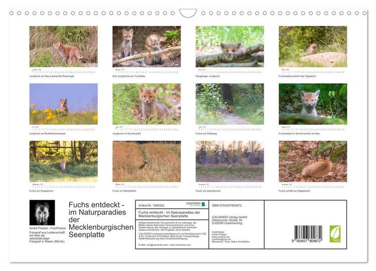 Produktbild: Fuchs entdeckt - im Naturparadies der Mecklenburgischen Seenplatte (Wandkalender 2026 DIN A3 quer), CALVENDO Monatskalender