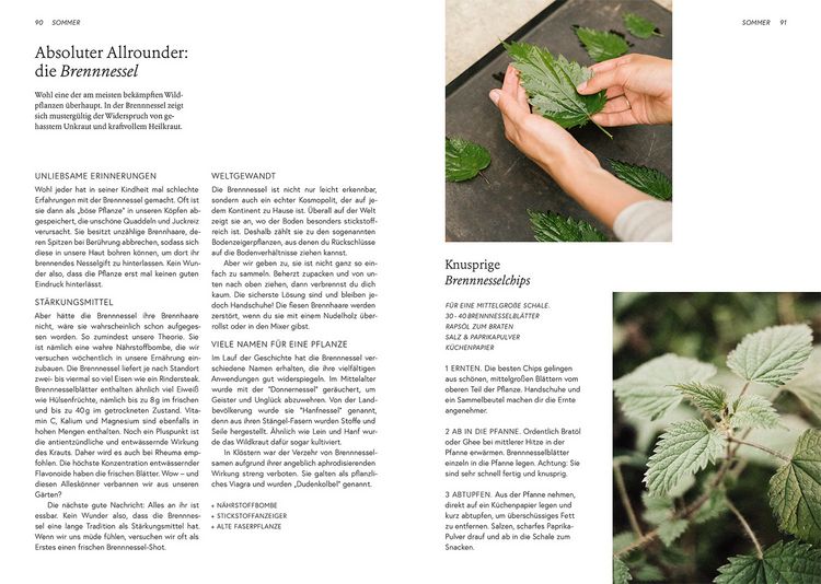 Produktbild: Kruut - Wildpflanzen im Alltag