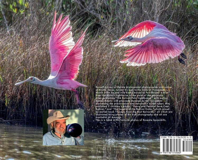 Produktbild: Roseate Spoonbills of Bolivar