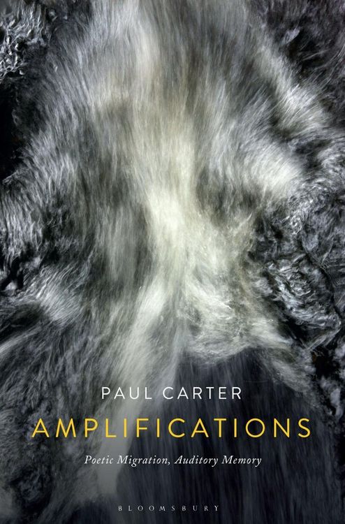 Produktbild: Amplifications