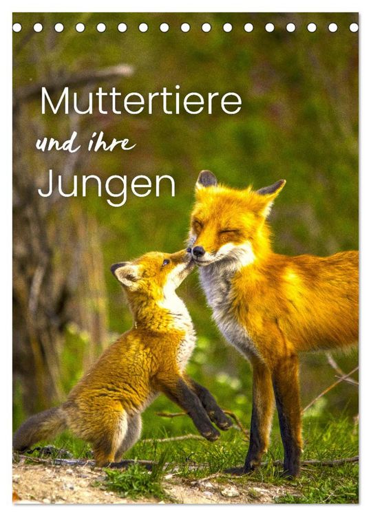 Produktbild: Muttertiere und ihre Jungen (Tischkalender 2026 DIN A5 hoch), CALVENDO Monatskalender