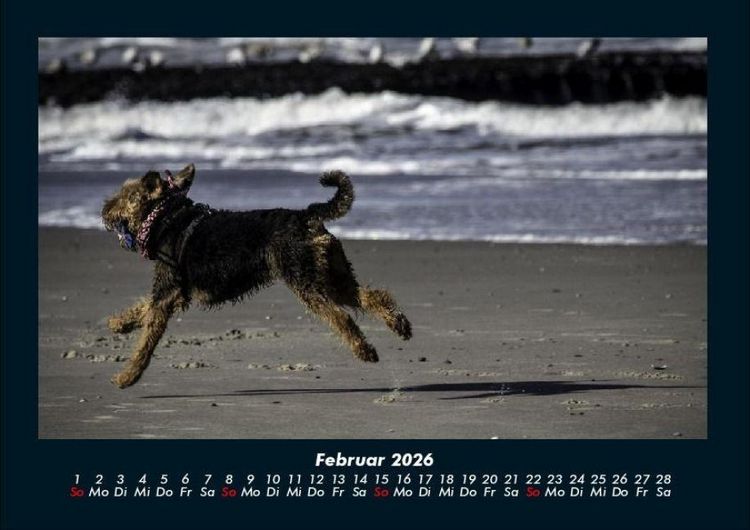 Produktbild: Str&auml;nde der Welt 2026 Fotokalender DIN A4