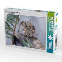 Produktbild: CALVENDO Puzzle Europ&auml;ische Wildkatze im Winter 1000 Teile Lege-Gr&ouml;&szlig;e 48 x 64 cm Foto-Puzzle Bild von Christina Krutz