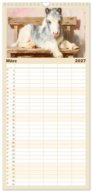 Produktbild: Familienplaner 2027 - Zauberhafte Ponys. Kleine Pferdchen in lieblicher &Ouml;loptik mit 5 Spalten (Wandkalender, 21 x 45 cm) CALVENDO