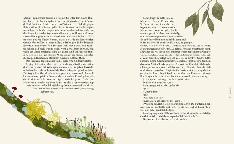 Produktbild: Magie des Waldes