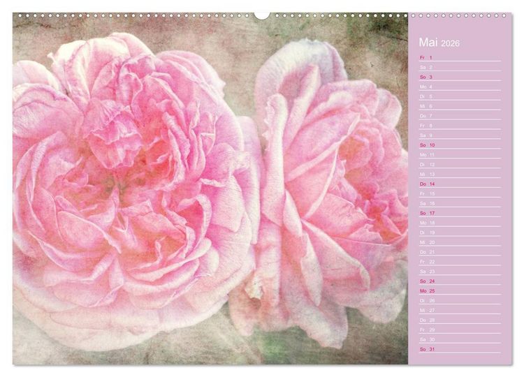 Produktbild: Romantische Rosen (hochwertiger Premium Wandkalender 2026 DIN A2 quer), Kunstdruck in Hochglanz
