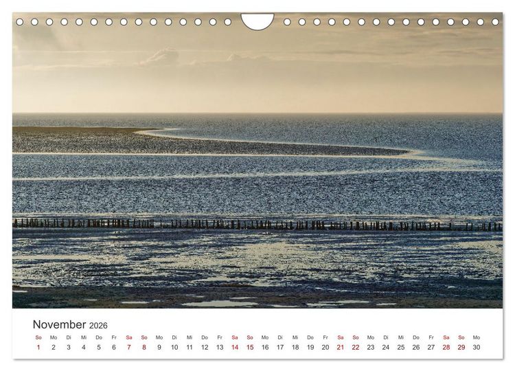 Produktbild: Schutzgebiet Wattenmeer (Wandkalender 2026 DIN A4 quer), CALVENDO Monatskalender