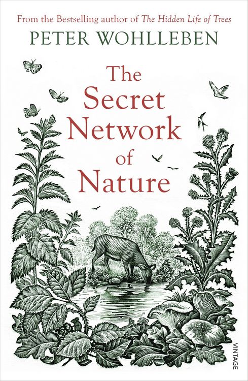 Produktbild: The Secret Network of Nature