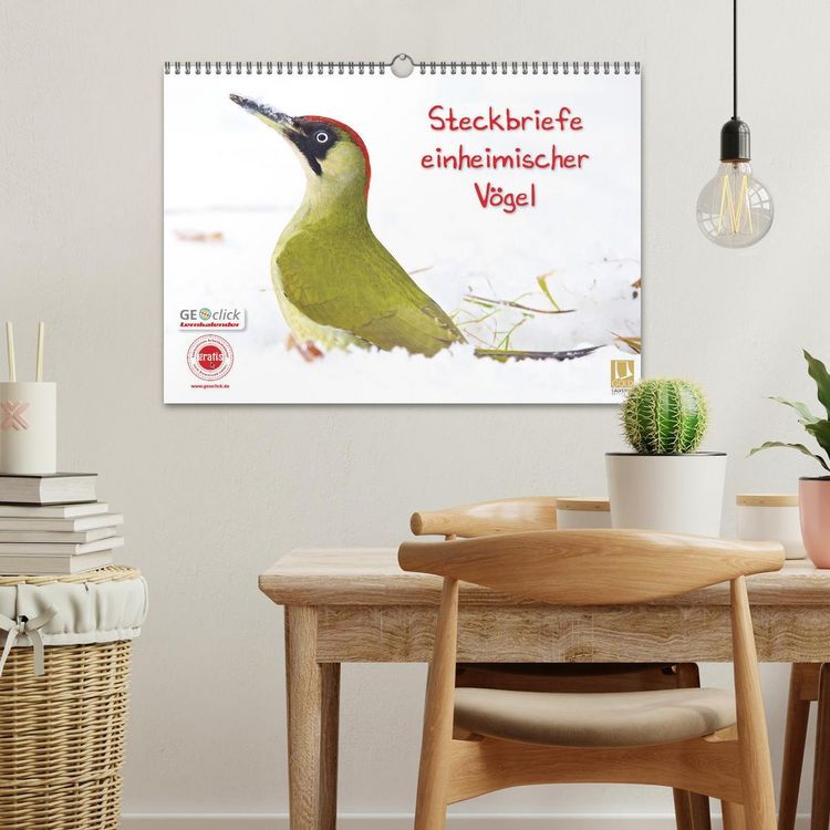 Produktbild: Steckbriefe einheimischer V&ouml;gel (Wandkalender 2026 DIN A3 quer), CALVENDO Monatskalender