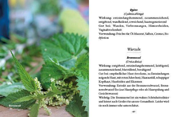Produktbild: Das kleine Buch: Nat&uuml;rlich sch&ouml;n mit der Kraft der Natur