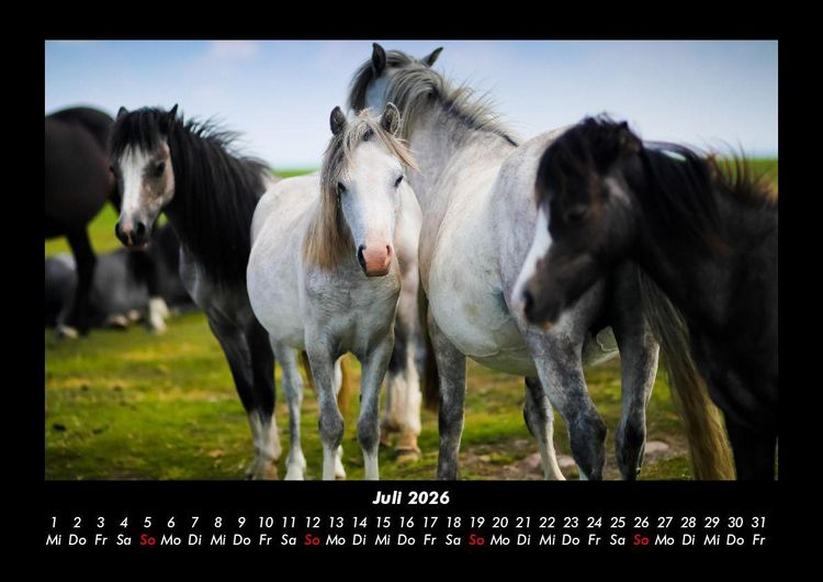 Produktbild: Die Welt der Pferde 2026 Fotokalender DIN A3