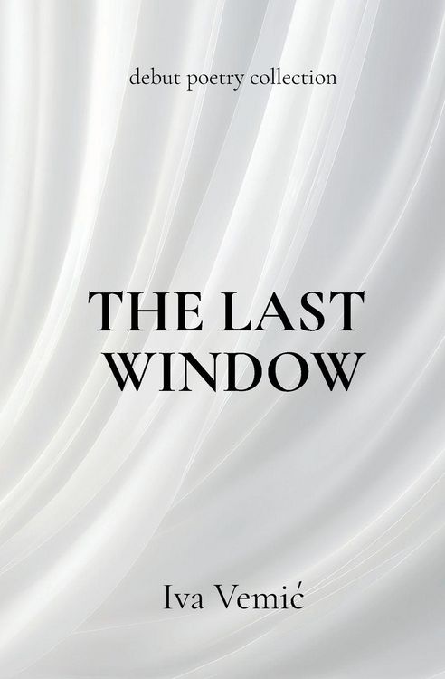 Produktbild: The Last Window