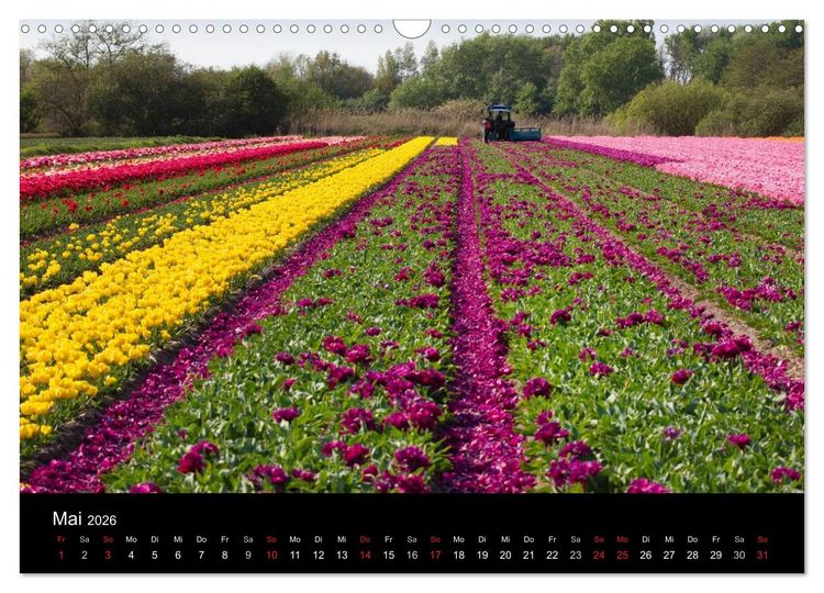 Produktbild: Ein fotografischer Streifzug durch Holland (Wandkalender 2026 DIN A3 quer), CALVENDO Monatskalender