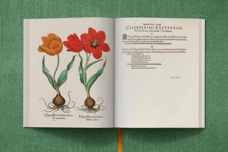 Produktbild: Basilius Besler. The Garden at Eichst&auml;tt