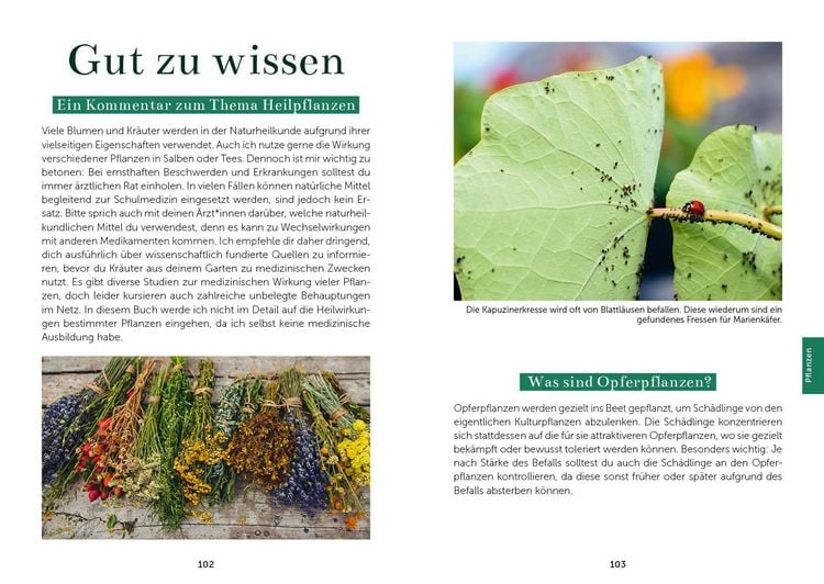 Produktbild: Das Gem&uuml;segarten 1 x 1