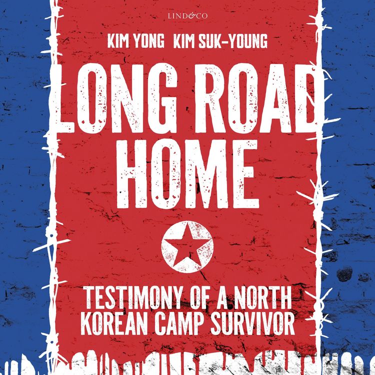 Produktbild: Long Road Home