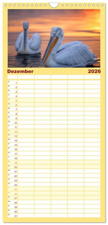 Produktbild: Familienplaner 2026 - Krauskopfpelikane mit 5 Spalten (Wandkalender, 21 x 45 cm) CALVENDO
