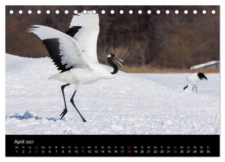 Produktbild: Mandschurenkraniche (Tischkalender 2027 DIN A5 quer), CALVENDO Monatskalender