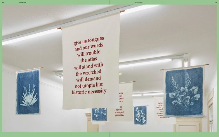 Produktbild: Senses of Plants / Die Sinne der Pflanzen
