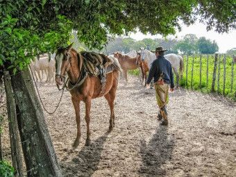 Produktbild: CALVENDO Puzzle Gaucho - Estancia San Juan Poriah&uacute; | 1000 Teile Lege-Gr&ouml;&szlig;e 64x48cm Foto-Puzzle f&uuml;r gl&uuml;ckliche Stunden