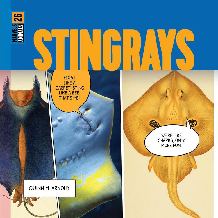 Produktbild: Stingrays
