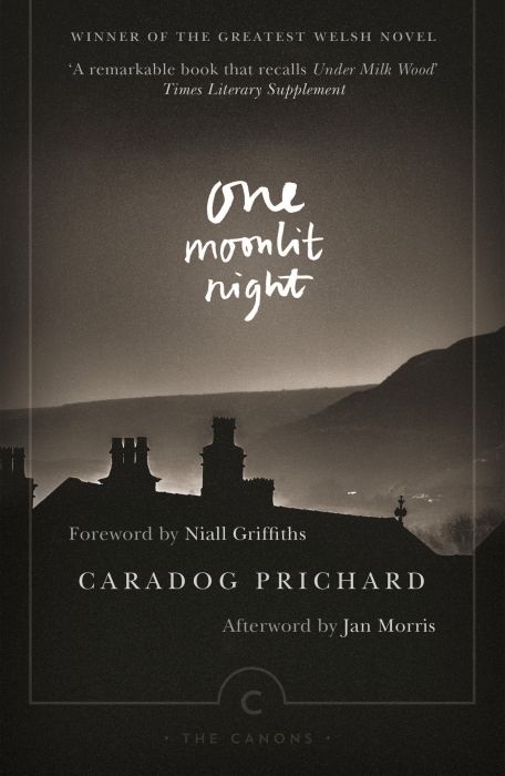 Produktbild: One Moonlit Night