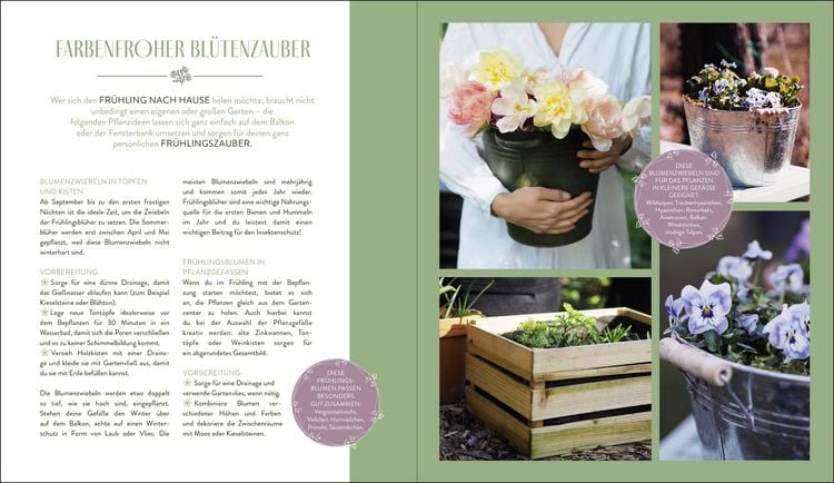 Produktbild: In meinem Garten bl&uuml;ht das Gl&uuml;ck