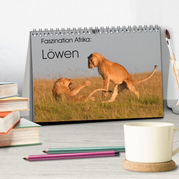 Produktbild: Faszination Afrika: L&ouml;wen (Tischkalender 2026 DIN A5 quer), CALVENDO Monatskalender