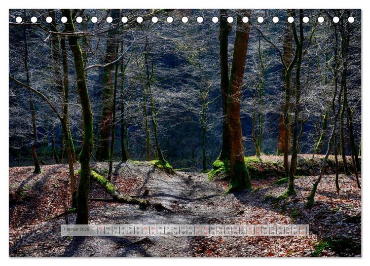 Produktbild: Wald im Bergischen Land 2026 (Tischkalender 2026 DIN A5 quer), CALVENDO Monatskalender