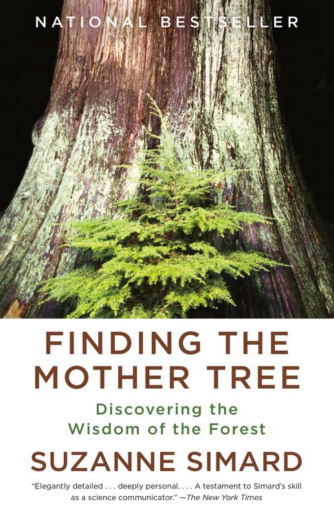 Produktbild: Finding the Mother Tree