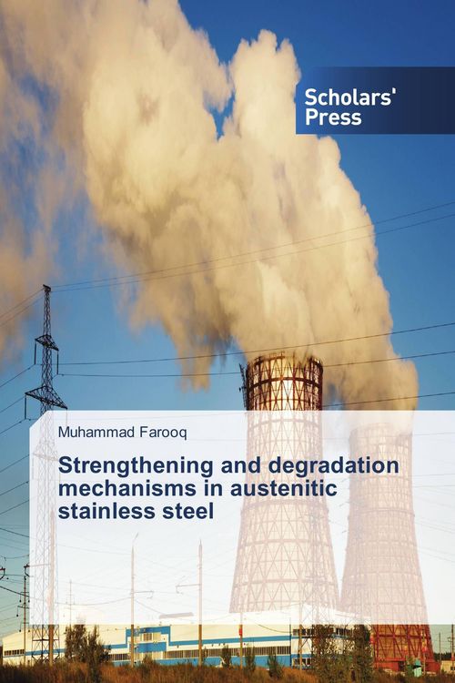 Produktbild: Strengthening and degradation mechanisms in austenitic stainless steel