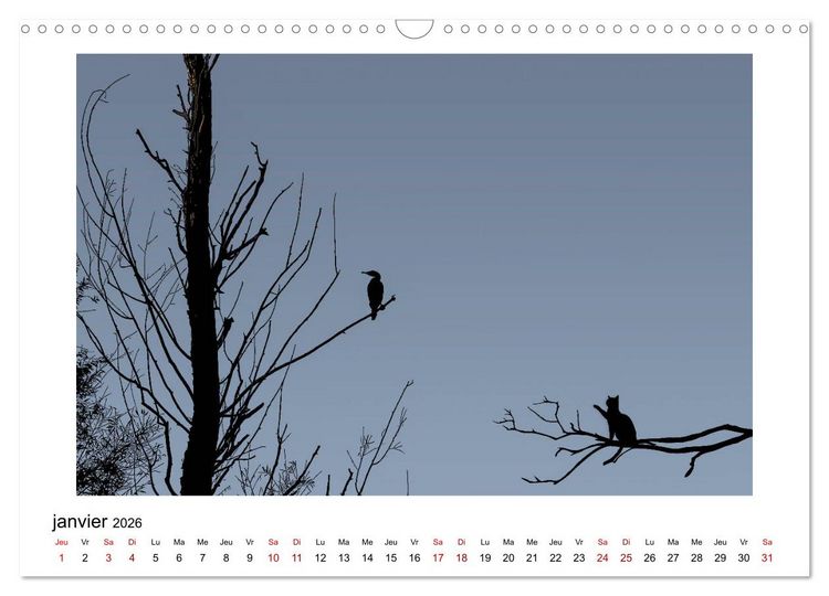 Produktbild: Berlioz et Zo&eacute; &agrave; Angers (Calendrier mural 2026 DIN A3 vertical), CALVENDO calendrier mensuel