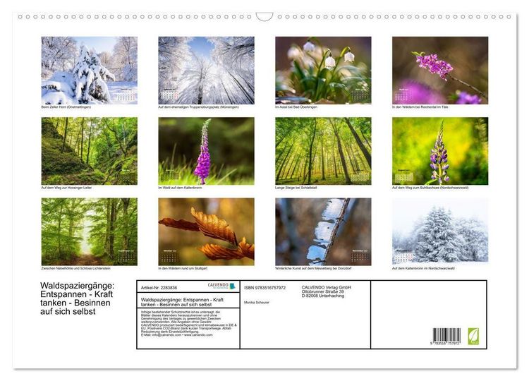 Produktbild: Waldspazierg&auml;nge: Entspannen - Kraft tanken - Besinnen auf sich selbst (Wandkalender 2027 DIN A2 quer), CALVENDO Monatskalender