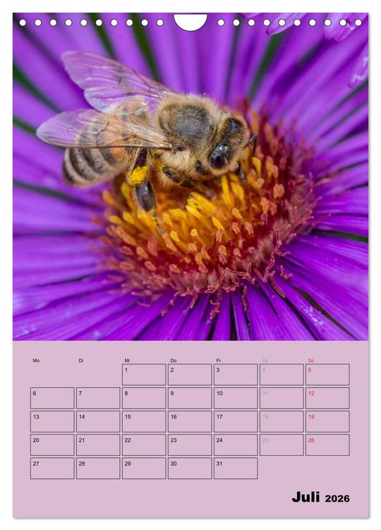 Produktbild: Bienenplaner (Wandkalender 2026 DIN A4 hoch), CALVENDO Monatskalender