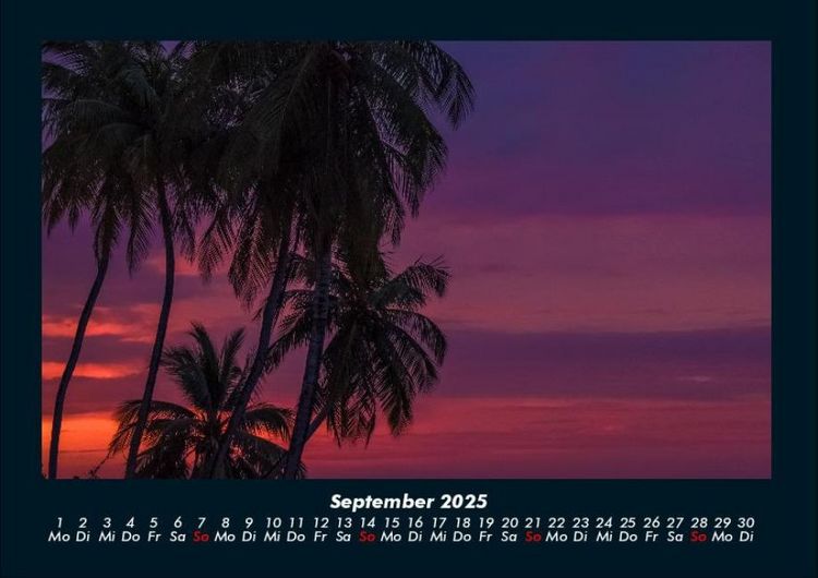 Produktbild: Palmentraum 2025 Fotokalender DIN A4