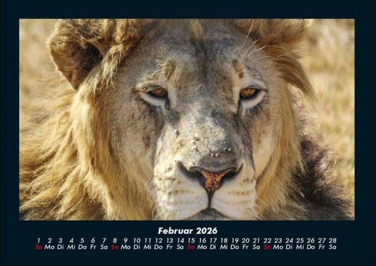 Produktbild: Der Tierkalender 2026 Fotokalender DIN A4