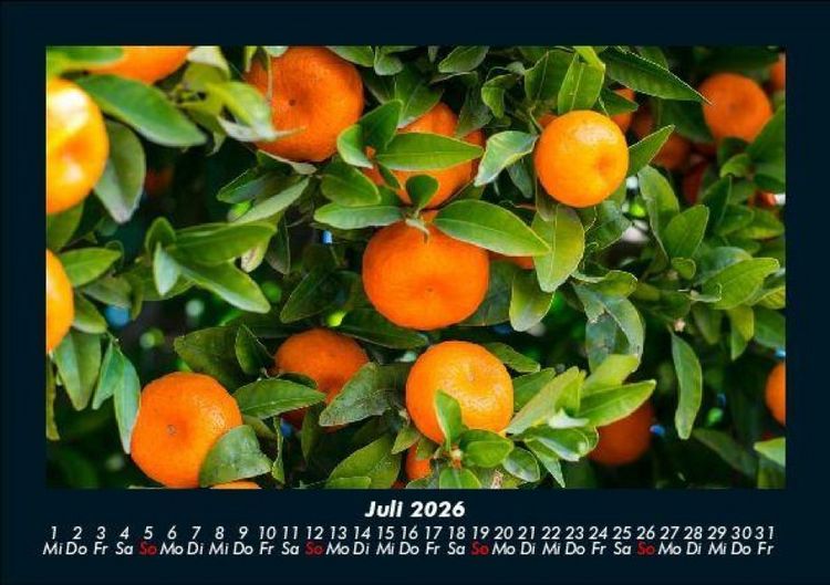 Produktbild: Obstkalender 2026 Fotokalender DIN A5